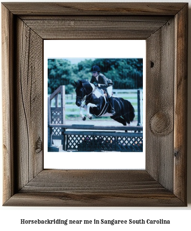 horseback riding near me in Sangaree, South Carolina